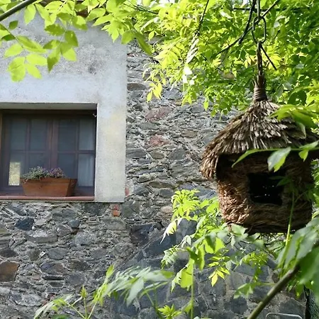 El Moli Del Montseny *