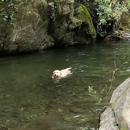 El Moli Del Montseny *